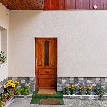 Pensiunea Montan Buşteni Buitenkant foto