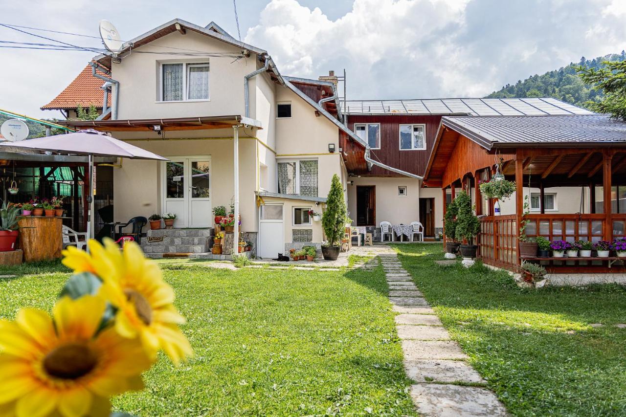 Pensiunea Montan Buşteni Buitenkant foto