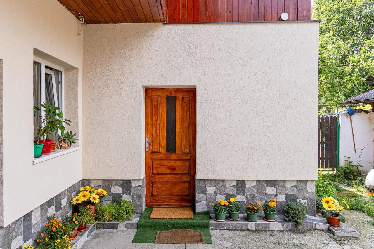Pensiunea Montan Buşteni Buitenkant foto
