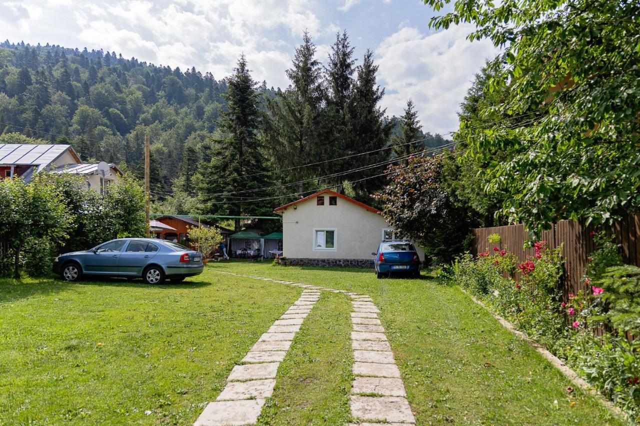 Pensiunea Montan Buşteni Buitenkant foto