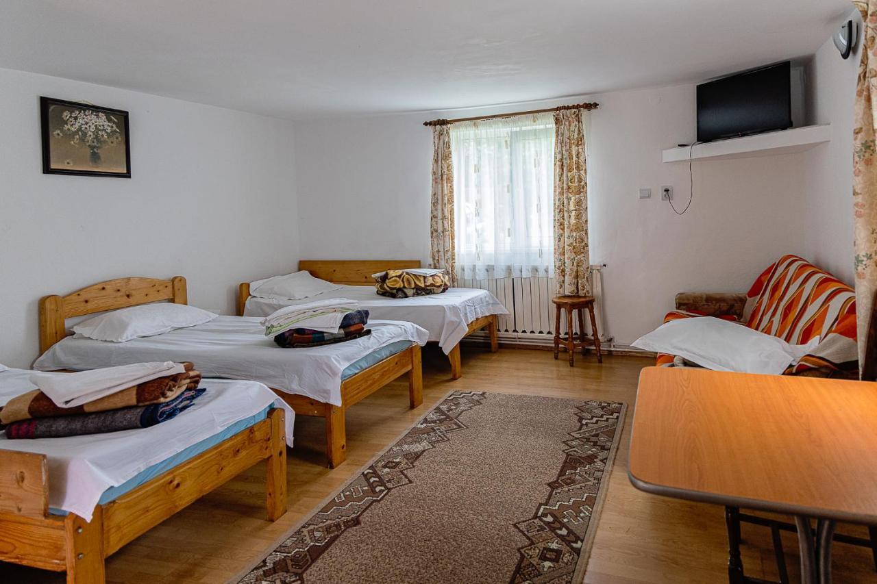 Pensiunea Montan Buşteni Buitenkant foto