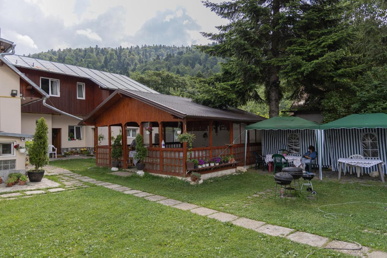 Pensiunea Montan Buşteni Buitenkant foto