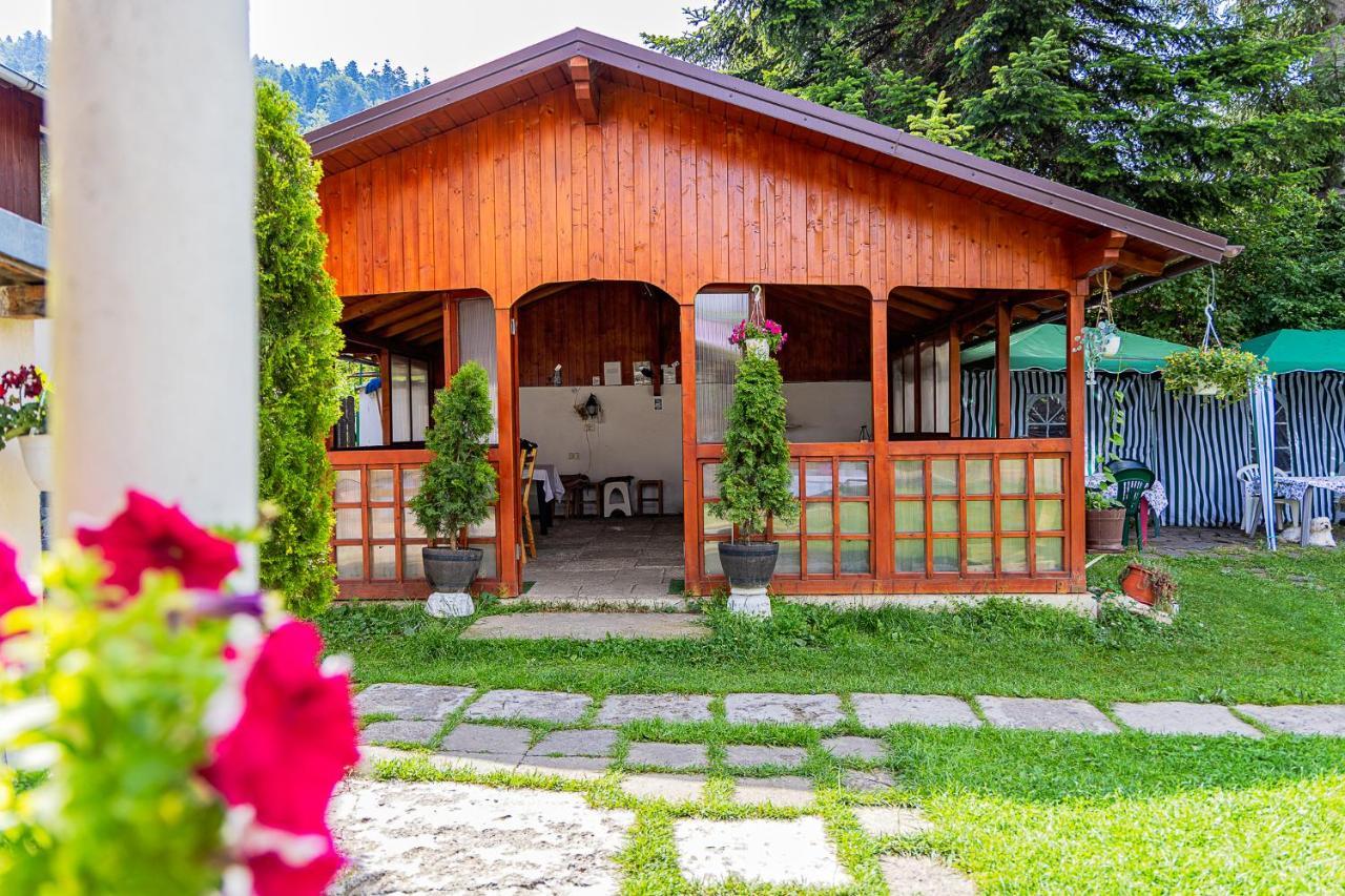 Pensiunea Montan Buşteni Buitenkant foto