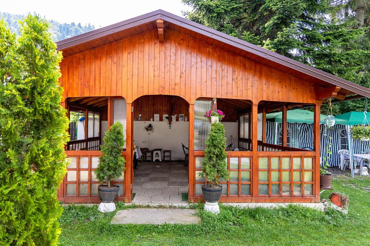 Pensiunea Montan Buşteni Buitenkant foto