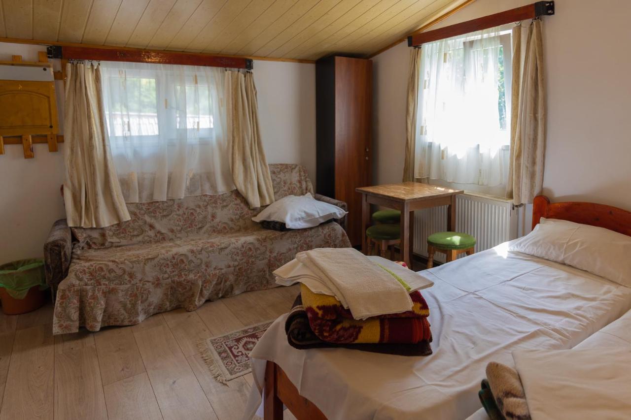 Pensiunea Montan Buşteni Buitenkant foto
