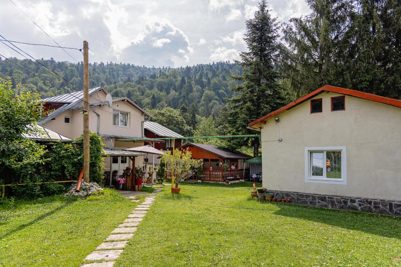 Pensiunea Montan Buşteni Buitenkant foto
