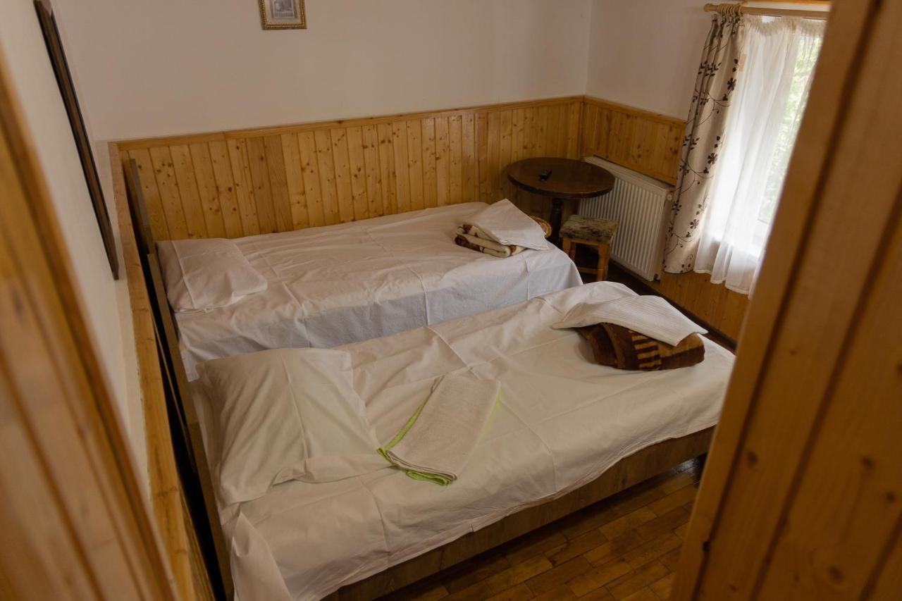 Pensiunea Montan Buşteni Buitenkant foto