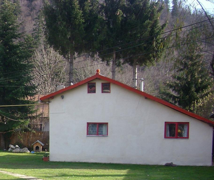 Pensiunea Montan Buşteni Buitenkant foto