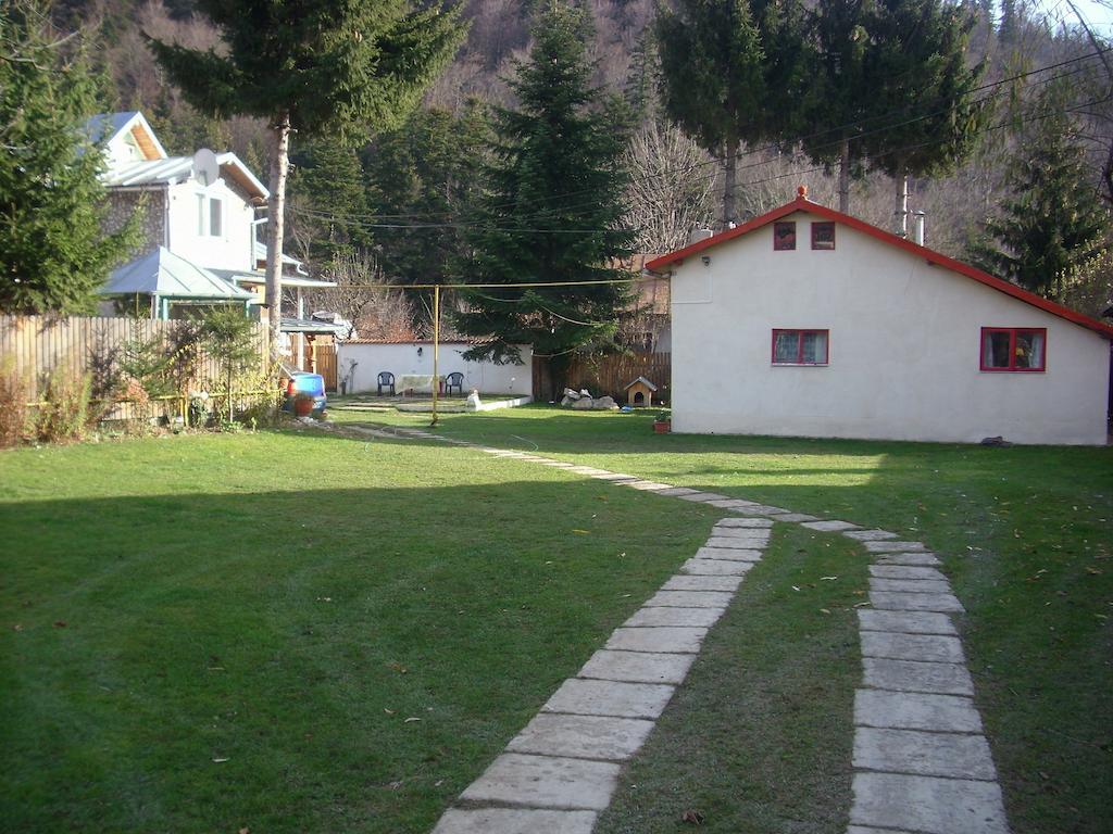 Pensiunea Montan Buşteni Buitenkant foto