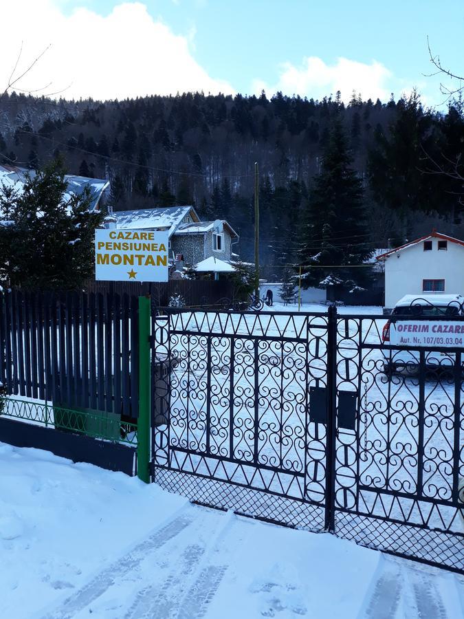 Pensiunea Montan Buşteni Buitenkant foto