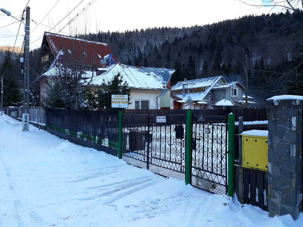 Pensiunea Montan Buşteni Buitenkant foto